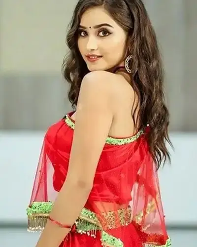 Call Girls Service Tirukkoyilur